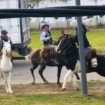 Desfiles Patrios en Berazategui: Dos Jinetes Desafían Rebencazos