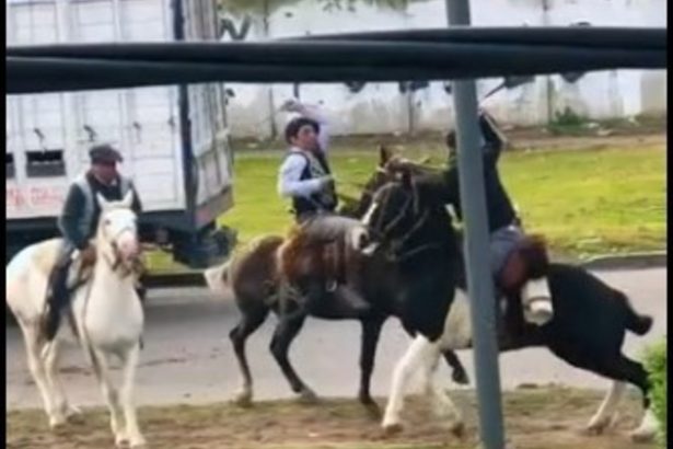 Desfiles Patrios en Berazategui: Dos Jinetes Desafían Rebencazos