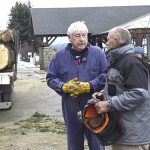 Intendente de Bariloche corta pinos históricos para embellecer la Costanera