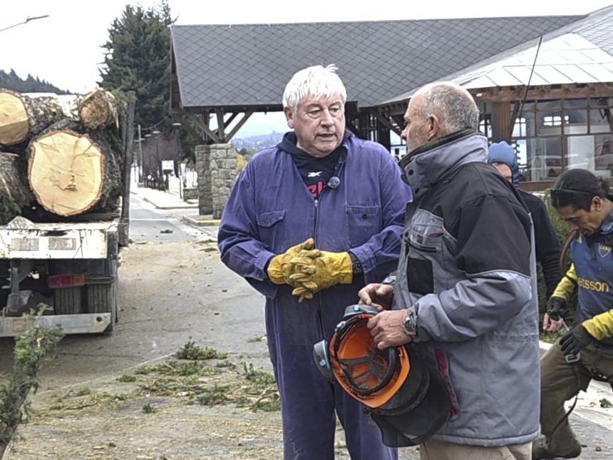 Intendente de Bariloche corta pinos históricos para embellecer la Costanera