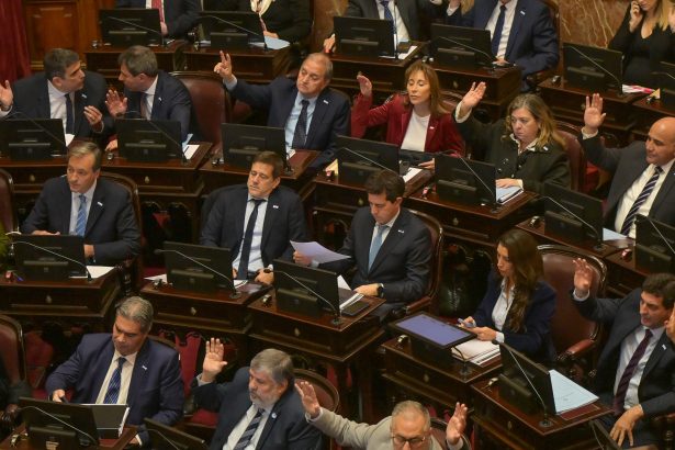 Senado: El peronismo se lanza a la batalla por la jueza anti-Milei