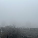 Alerta Meteorológica: Densa Niebla Afecta Ciudad y Otras Provincias