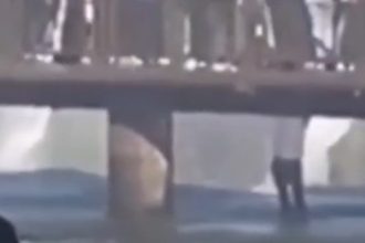Turista se lanza a las Cataratas del Iguazú en busca de su celular