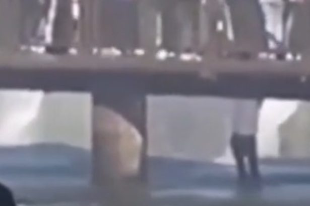 Turista se lanza a las Cataratas del Iguazú en busca de su celular