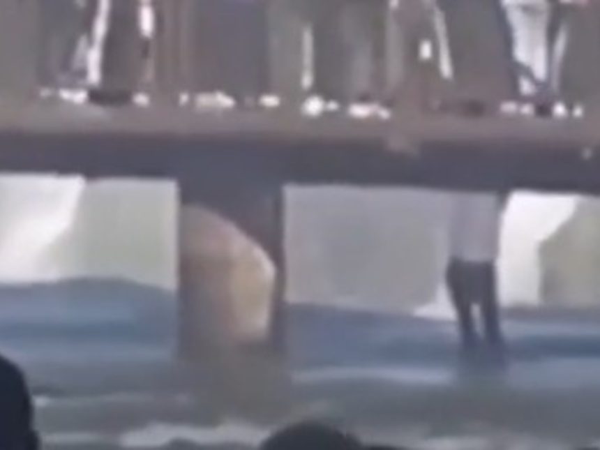 Turista se lanza a las Cataratas del Iguazú en busca de su celular