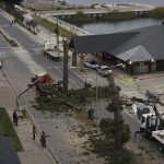 Intendente de Bariloche genera controversia al quitar pinos históricos