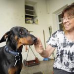 Descubre la primera provincia que autorizó el cannabis medicinal para mascotas