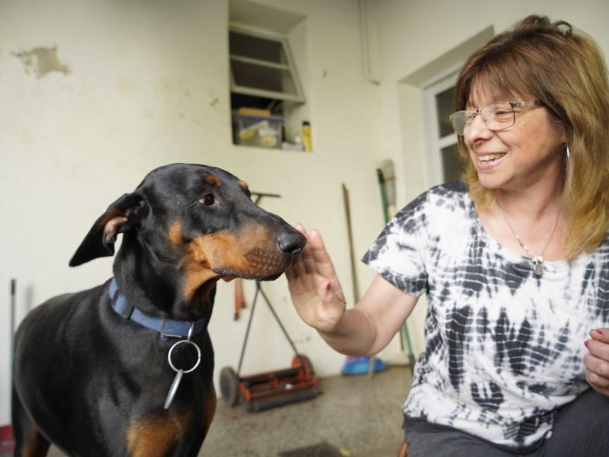 Descubre la primera provincia que autorizó el cannabis medicinal para mascotas