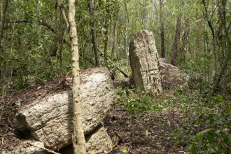 Descubren impresionantes monumentos mayas ocultos lejos del turismo