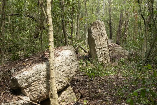 Descubren impresionantes monumentos mayas ocultos lejos del turismo