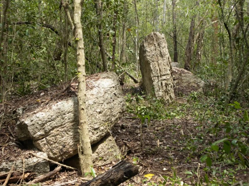 Descubren impresionantes monumentos mayas ocultos lejos del turismo