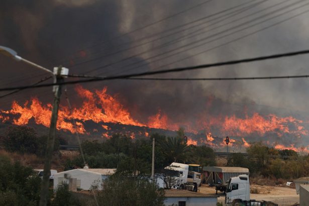Incendios en Almería: 6000 hectáreas devastadas y 23 desaparecidos