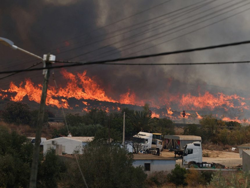 Incendios en Almería: 6000 hectáreas devastadas y 23 desaparecidos
