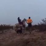 Agresiones a corredores en Río Negro: Respuestas y justificaciones mapuches