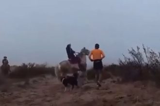 Agresiones a corredores en Río Negro: Respuestas y justificaciones mapuches