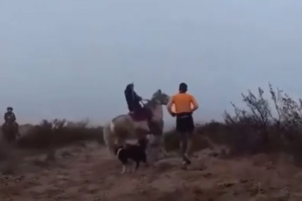 Agresiones a corredores en Río Negro: Respuestas y justificaciones mapuches