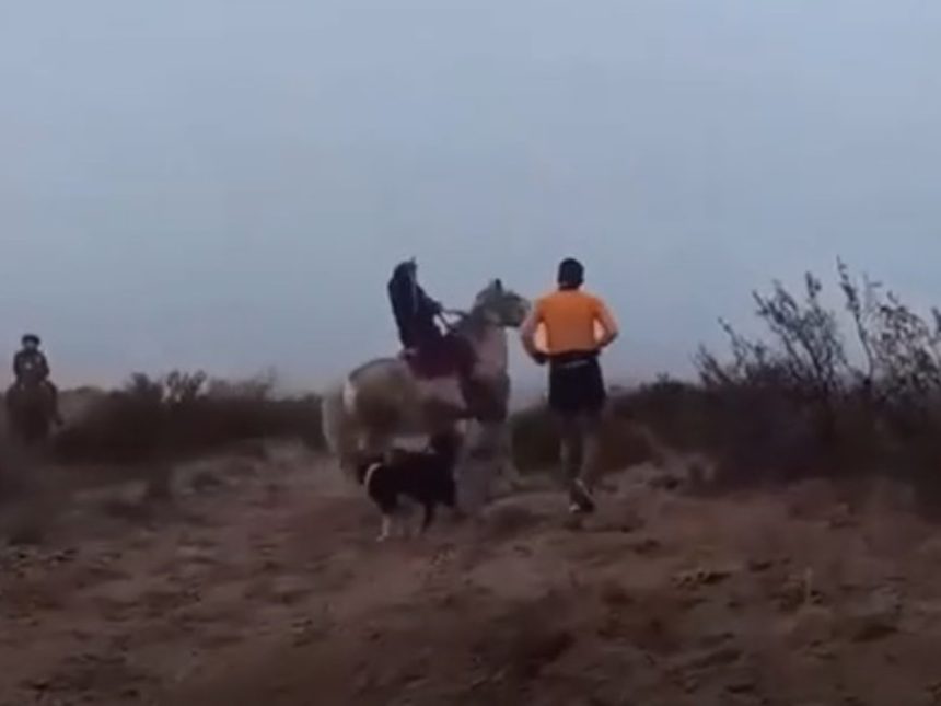Agresiones a corredores en Río Negro: Respuestas y justificaciones mapuches