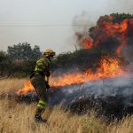 Incendios en Madrid: Sánchez declara emergencia ante horas críticas