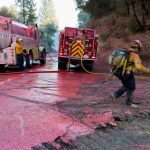 EE.UU. en llamas: más de 700,000 hectáreas devastadas por incendios