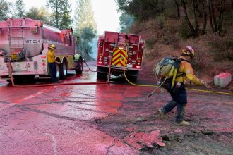 EE.UU. en llamas: más de 700,000 hectáreas devastadas por incendios