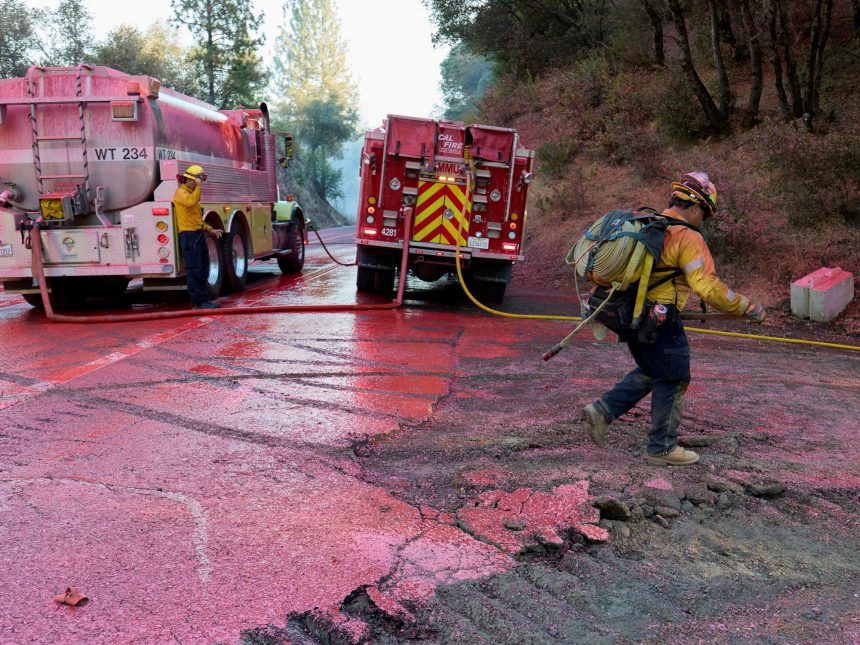 EE.UU. en llamas: más de 700,000 hectáreas devastadas por incendios