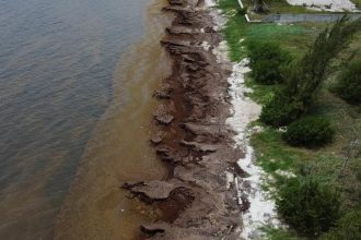 Plan Innovador de México para Salvar Playas de Algas Invasoras