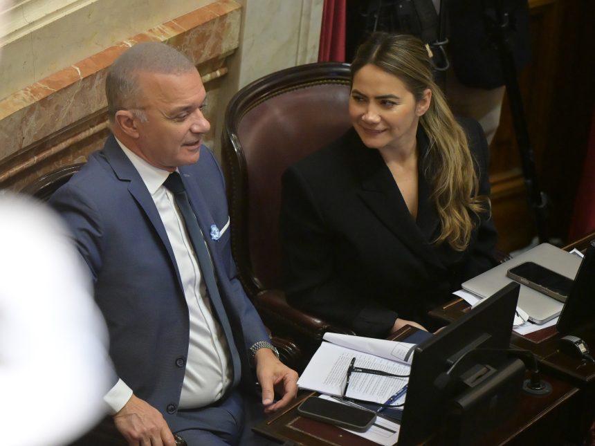 La interna misionera suma tensión a la ley de venta de tierras a extranjeros en el Senado