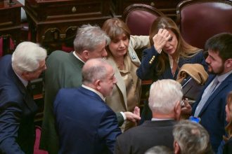 El congreso se reactiva: avanza la agenda económica y la ley de tierras entra en tiempo de descuento