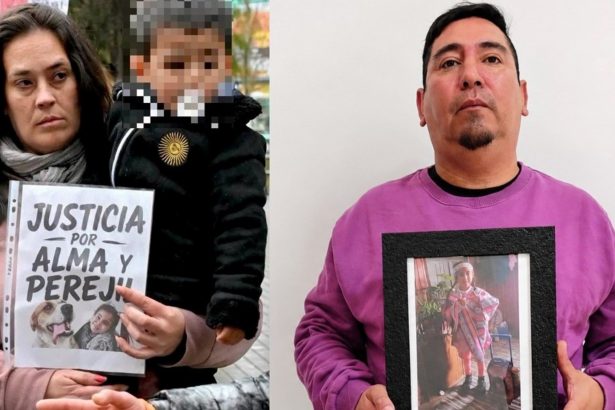Un perro mató a una nena de 5 años en una playa de la Patagonia y piden investigar quién fue: «Perejil es inocente»