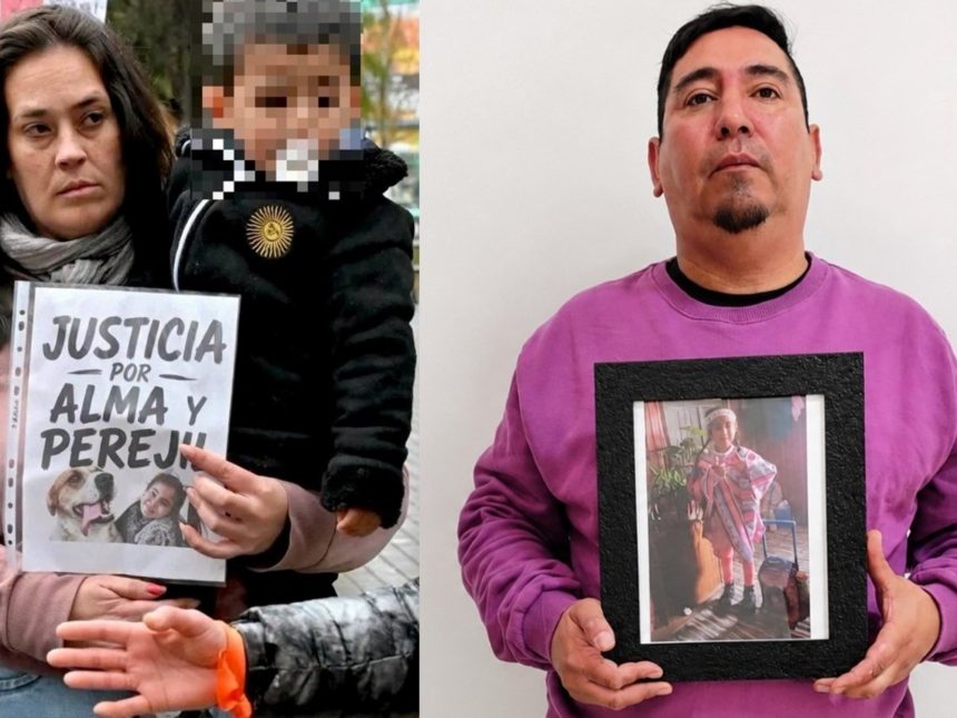 Un perro mató a una nena de 5 años en una playa de la Patagonia y piden investigar quién fue: «Perejil es inocente»