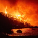 Europa sin tregua: con temperaturas de infierno se desata otra ola incendios desde Alemania hasta el Reino Unido