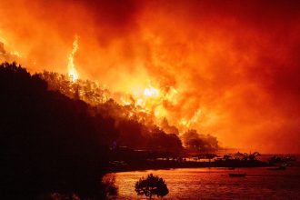 Europa sin tregua: con temperaturas de infierno se desata otra ola incendios desde Alemania hasta el Reino Unido