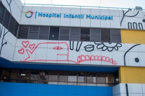 Nuevo ataque de un perro: un nene de 3 años fue mordido por un pitbull y recibió 65 puntos de sutura