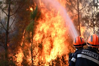 Los incendios forestales en Europa detonan bombas y minas de la Primera y la Segunda Guerra Mundial