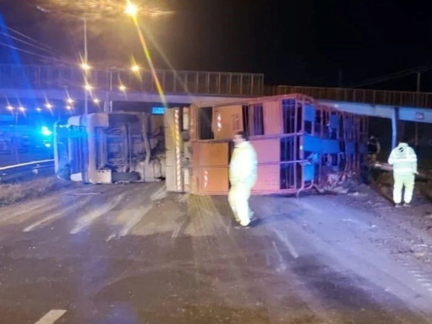 Volcó un camión jaula con ganado en Rosario: algunas vacas pudieron escapar, pero hubo cinco detenidos por faenado
