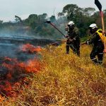 Después del terremoto, los incendios forestales arrasan miles de hectáreas en Colombia y el gobierno acusa a  “manos criminales”